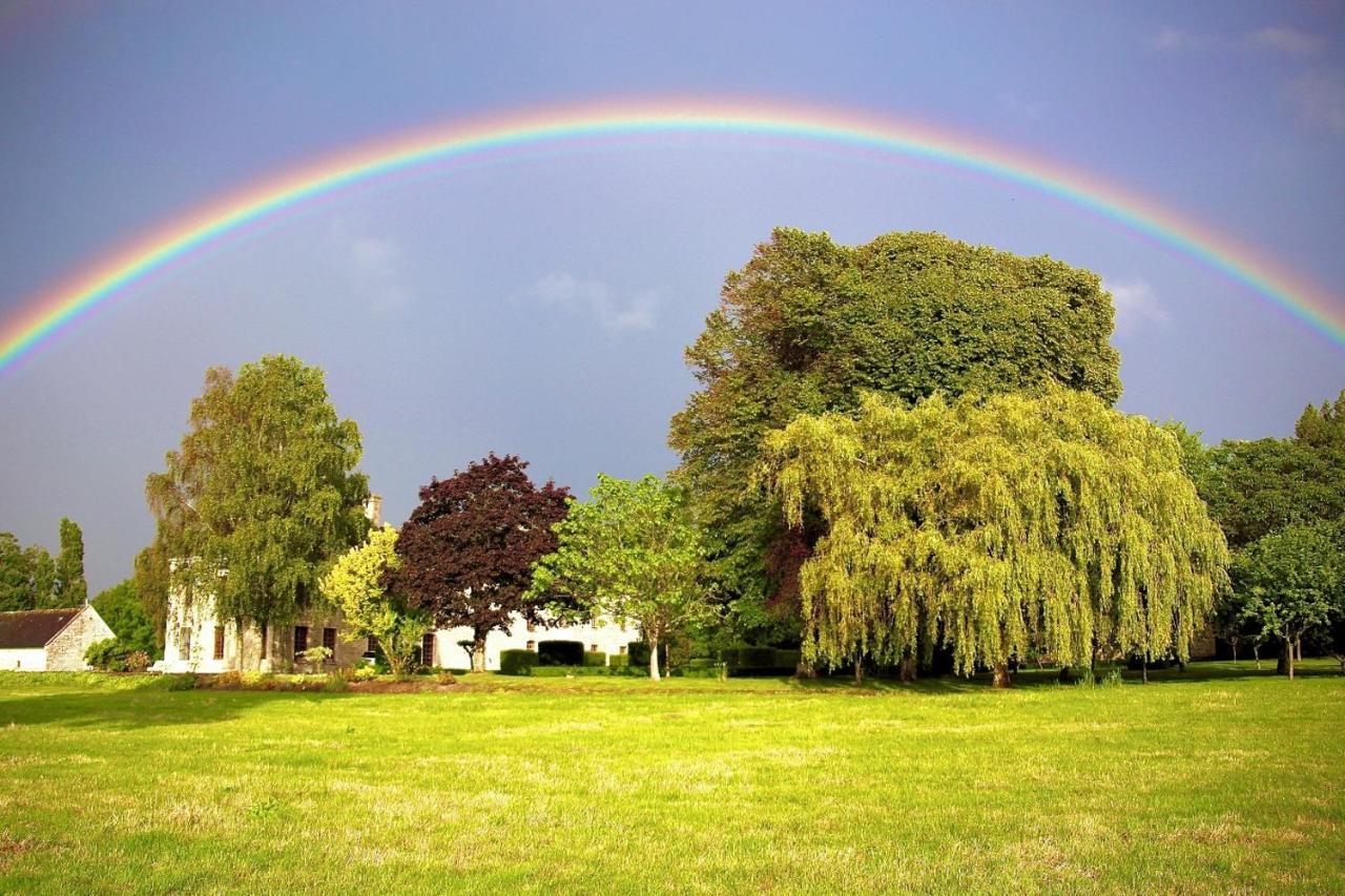 Chateau Du Bu Anctoville Bagian luar foto